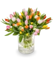 Bouquet of tulips